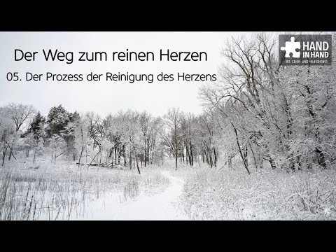 Videovorschau