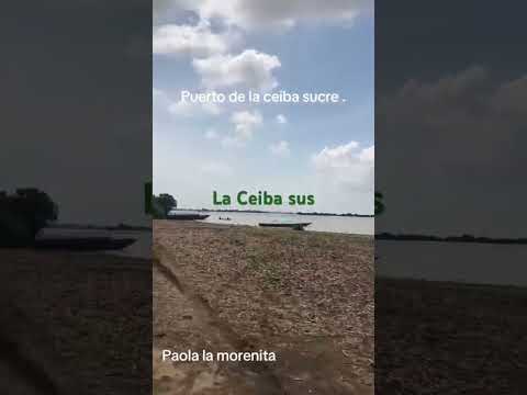 La ceiba sucre perteneciente San Benito Abad.no pierden la esperanza .