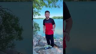 Tranquilo firulay 👏🏻😂🐕 #funny #cachorrosdivertidos #comedy