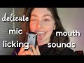 ASMR TASCAM MIC LICKING Mouth Sounds Fingertip Tapping