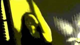 Taedium Vitae - Pigs Will Fly