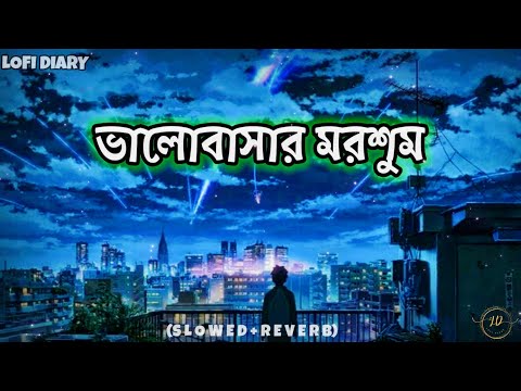 Bhalobashar Morshum (Slowed Reverb)||Bhalobashar Morshum Female lofi||Bhalobashar Morshum lyrics