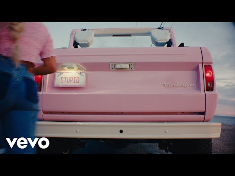 Megan Moroney - Stupid (Official Lyric Video)