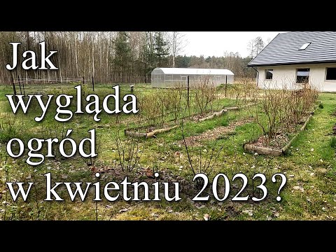 Spacer po ogrodzie w Szumilesie - kwiecień 2023