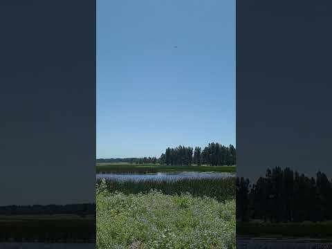 Humedad, Putu, Constitución.#chile #maule #travel