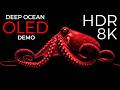 The Deep Ocean OLED Demo HDR 8K Ultra HD Dolby Vision 60fps