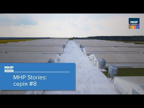 Вінницька птахофабрика МХП / МХП stories #8