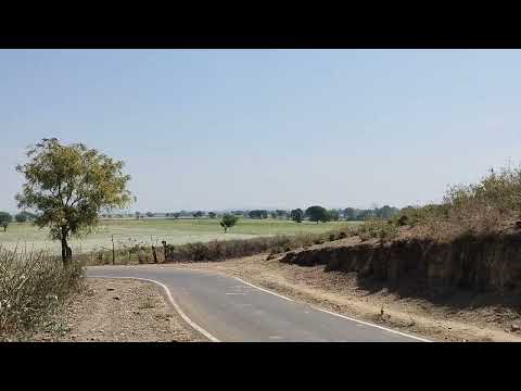 Organic natural honey