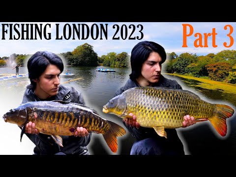 Big GHOST Carp caught while STALKING Carp in Park Lakes - URBAN Fishing in LONDON