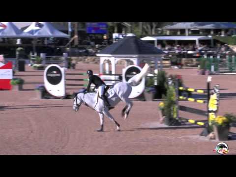 Check Picobello Z (1m60) Half brother of Kamikase