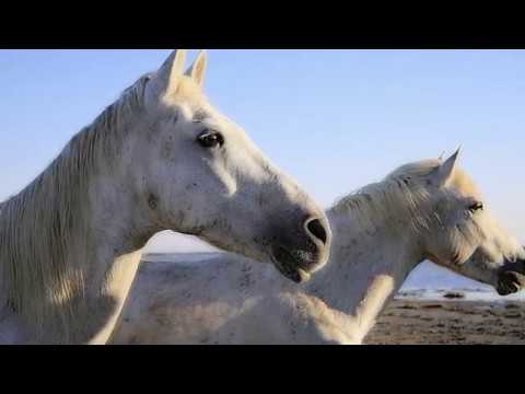 Gortoz a Ram (Denez Prigent & Lisa Gerrard).