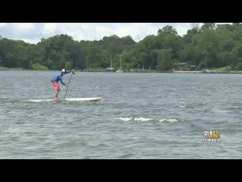 Man Trains For 240 Mile Paddle Board Journey Down The Chesapeake Bay