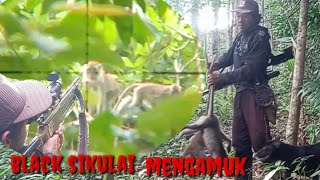 Download lagu BERBURU MONYET ‼️ libas semua kera sampai anak nya mp3