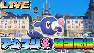 アシマリ♀色証延長戦！【ポケモンSV】