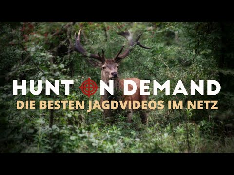 Hunt on Demand - die besten Jagdfilme im Netz!