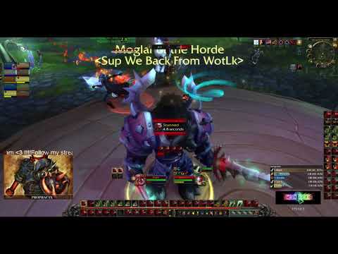 Prophacyx - Twink 49 - WSG 19-0 - Tauren Warrior (BiS gear)