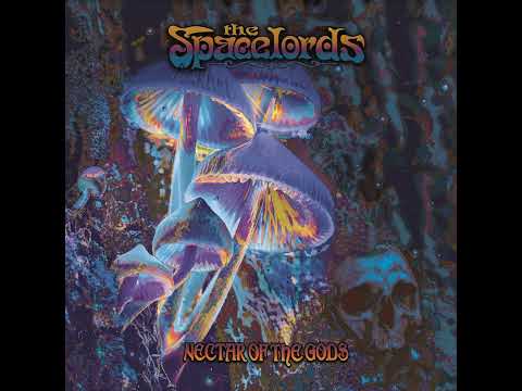 The Spacelords:  'mindscapes'-