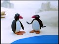 Pingu 8 Zeehond