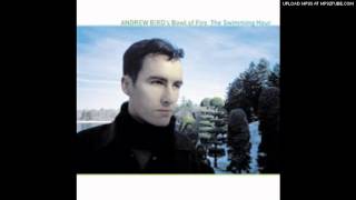 Andrew Bird&#39;s Bowl of Fire  - Why