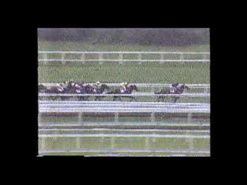 1988 AJC Derby - Beau Zam