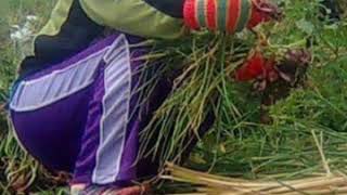 Download lagu Iwan fals Gadis tani mp3