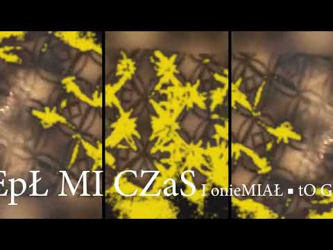 Kordiał - W drodze (JEDNA ZIEMIA)