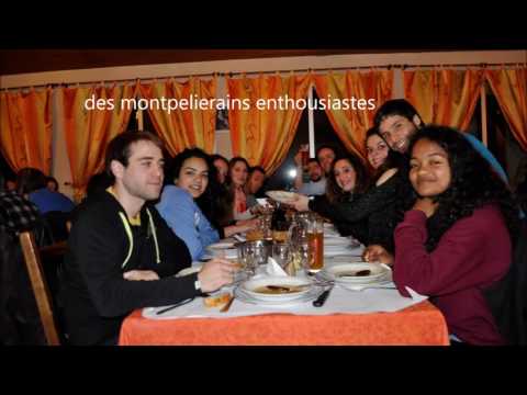 badminton arpajon club  2016