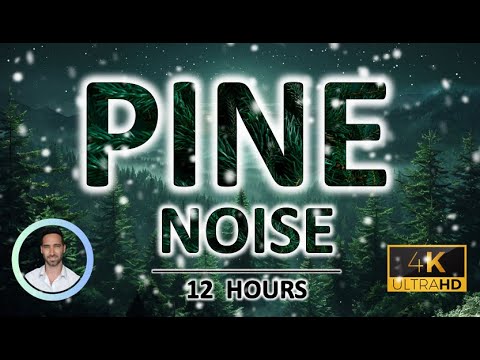 Pine Forest Sleep Noise | Relaxation & Meditation | 12 Hours | BLACK SCREEN | Tinnitus & Anxiety