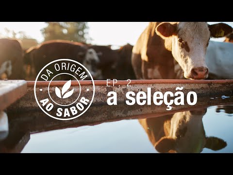 Da origem ao sabor - a seleção ep. 2