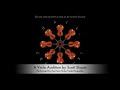 A Viola Audition for Viola Ensemble by Scott Slapin