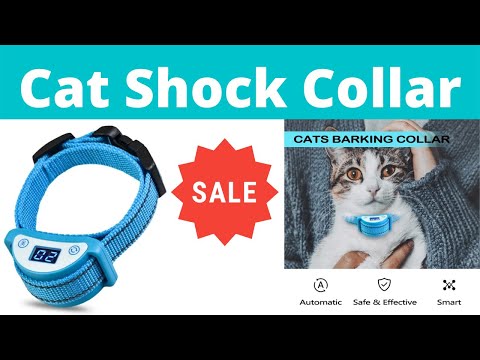 Cat Shock Collar | Cat Training Collar