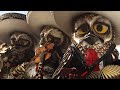 Rango But Its Only The Mariachi