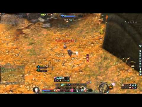Aion Gladiator Minidess 55 Pvp 4.7.5