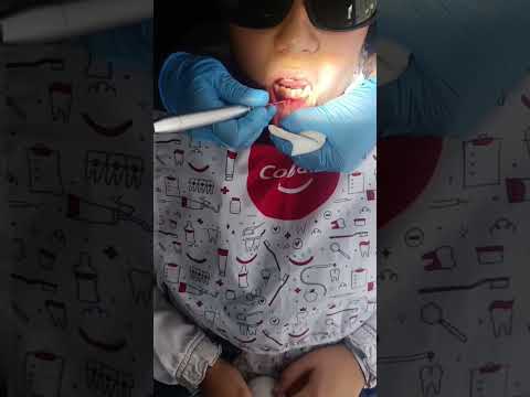 Luisa Fernanda Gomez Reyes-205