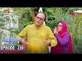 Bulbulay Season 2 Episode 230 9 December 2023 ARY Digital