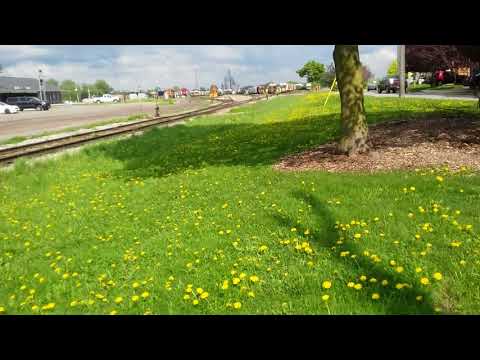 GEXR 431 arrives back in stratford