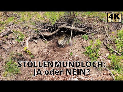 Stollenmundloch: Ja oder Nein? Graben macht schlau ;)