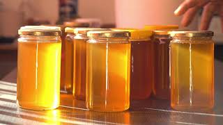 OPĆINA SIBINJ - PROJEKT "LIJEPA NAŠA SLAVONIJA!"