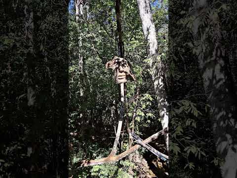 Escultura trilha em Alto Paraiso de Goiás