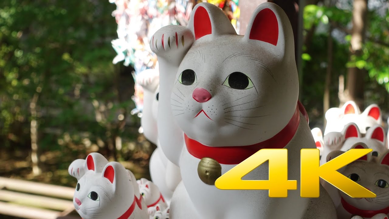 Gotokuji Temple / Maneki Neko - Tokyo