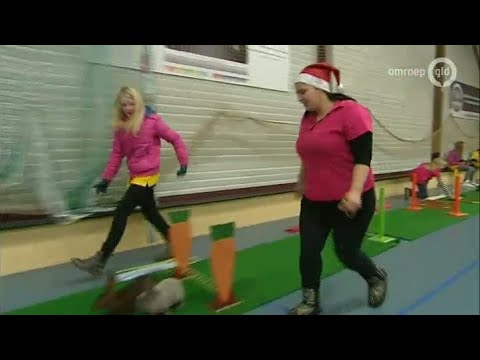 GLD Nieuws 21 december 2013 - Nieuws