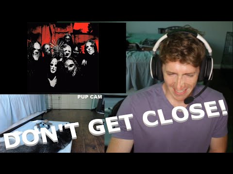 Chris REACTS to Slipknot - Don't Get Close