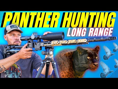 Mastering Long Range Airgun Hunting I Fundamentals of long rang shooting I Panthera Airgun Hunting