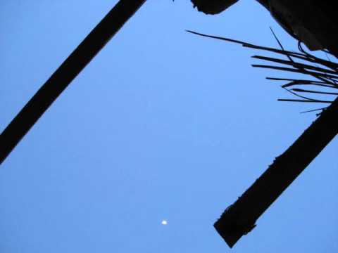 John Corigliano (b.1938)- Voyage (1976)