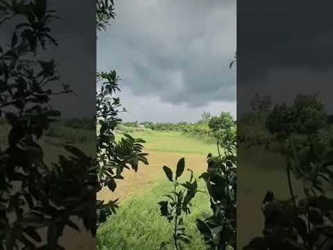 beautiful weather 🌻🌸💐💐 #fahima #cookingvideo #villagecooking #fahima #villagecooking #cake