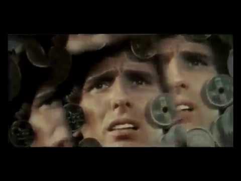 Il bianco, il giallo e il nero