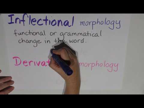 Episode 6 : Morphology - Inflectional v's derivational