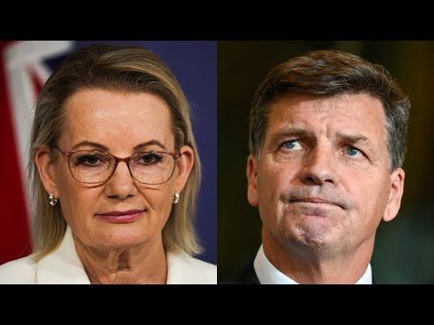 Angus Taylor wins Liberal leadership spill from Sussan Ley