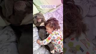 A man adopted a lonely pitbull and helped heal its heart with love