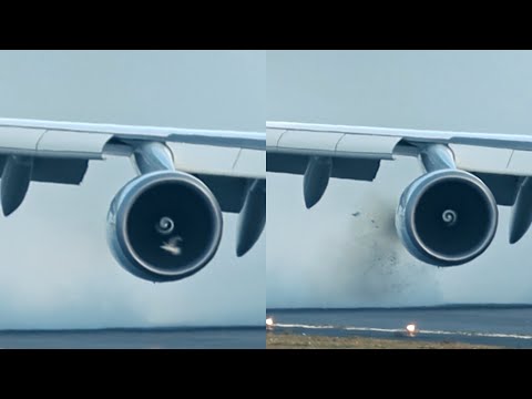 Boeing 747 Bird-Strike